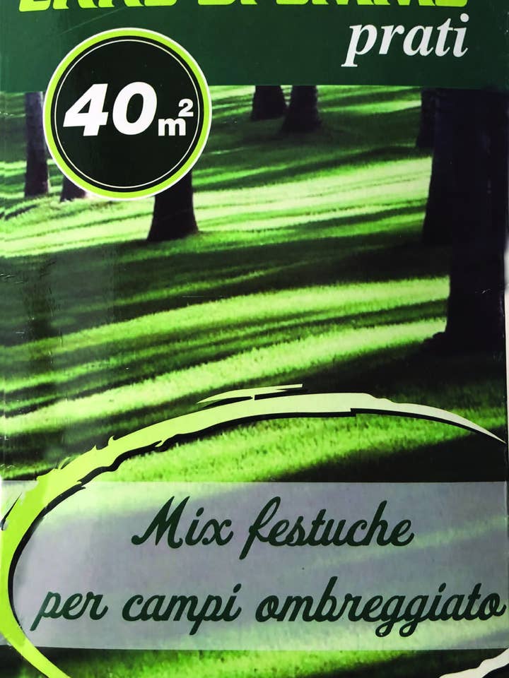 Mix Fetuche for Shaded Fields for wholesale by Sementi & Barbatelle