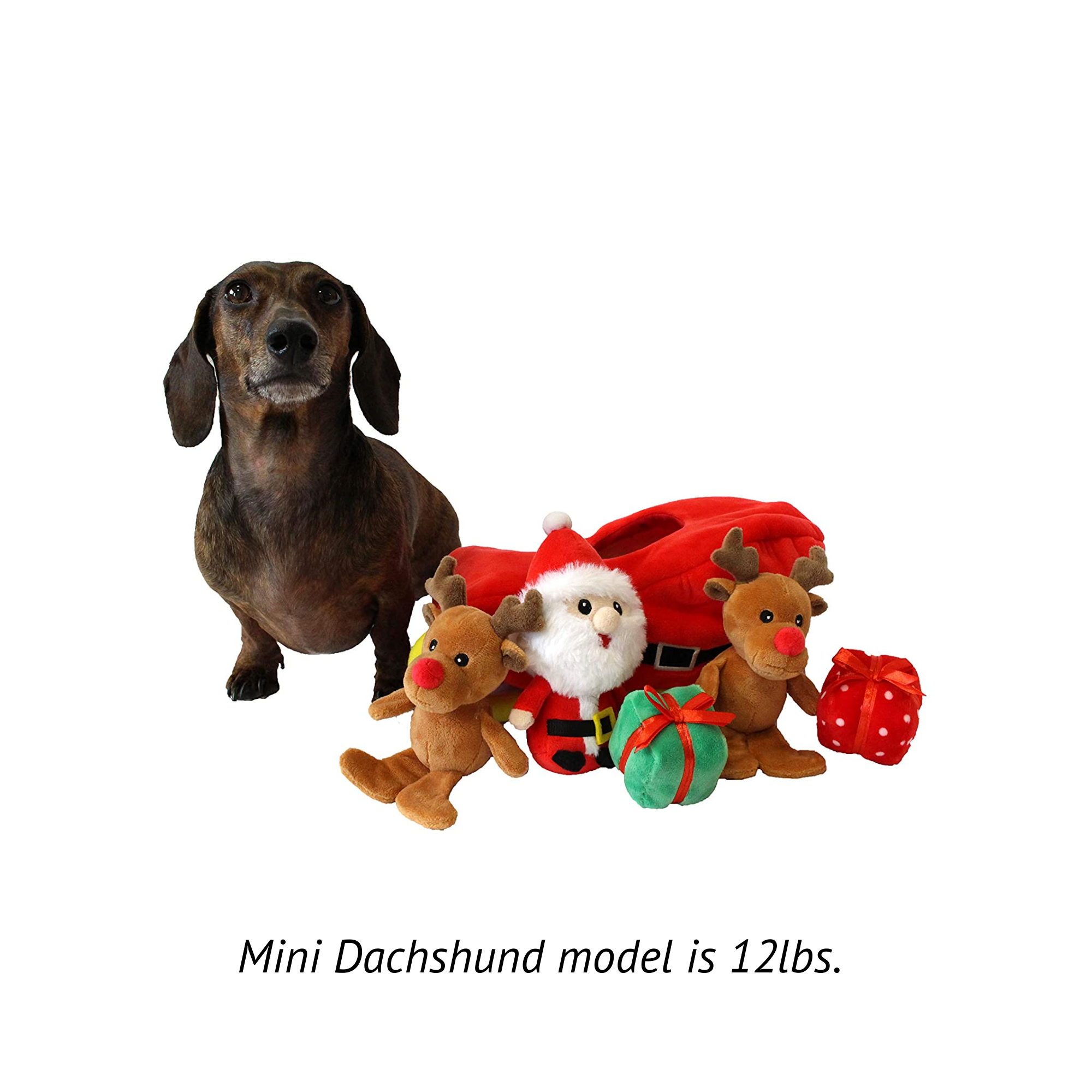 Midlee Designs – wholesale Pet plush toy – Dog – Midlee Santa Sleigh Find a Toy Christmas Dog Toy6