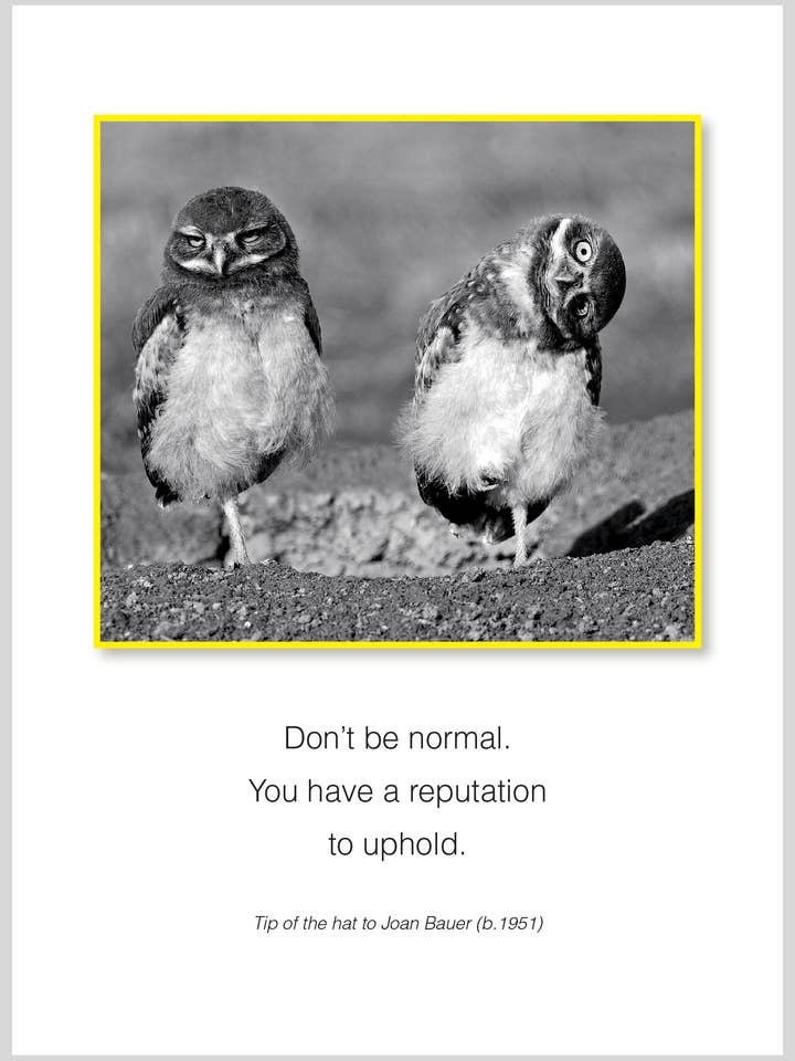 Don't be normal Birthday/All Occasion Greeting Card for wholesale by The Borealis Press Inc