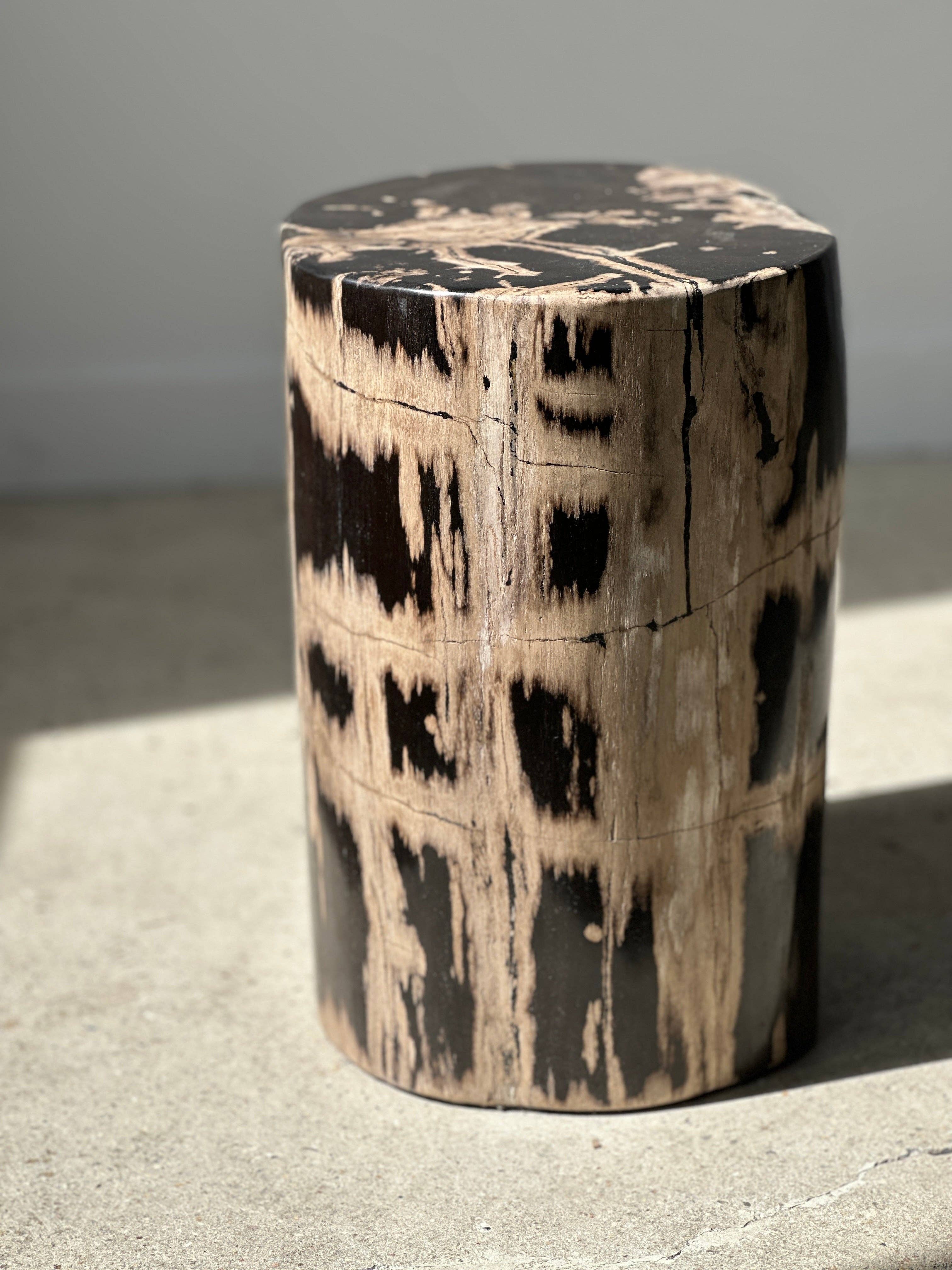 Office Objets - Vente Tables d'appoint - Table d'appoint en bois pétrifié35