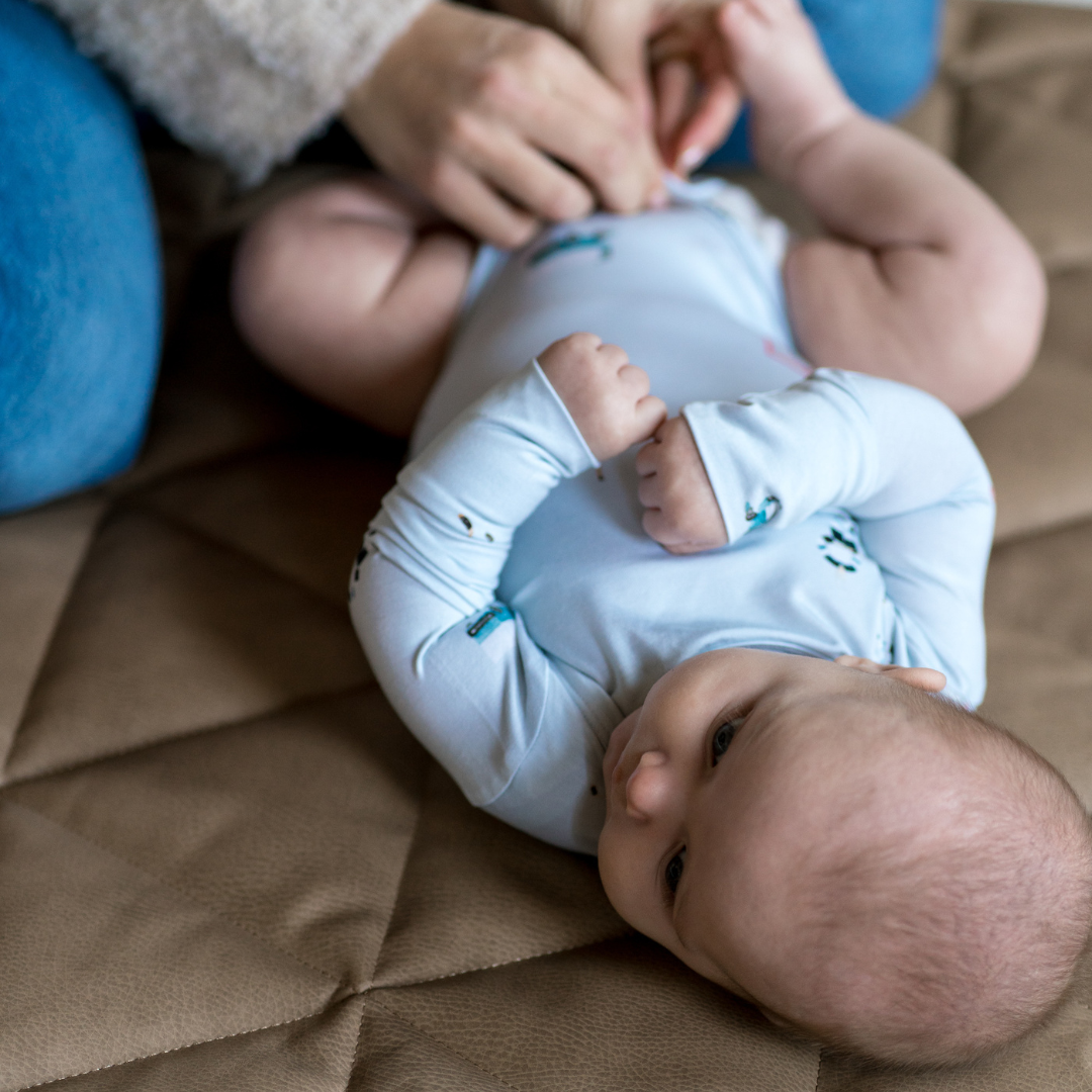 Pip + Phee – wholesale Bodysuit (non-footed) – Baby – Long Sleeve Bodysuits21