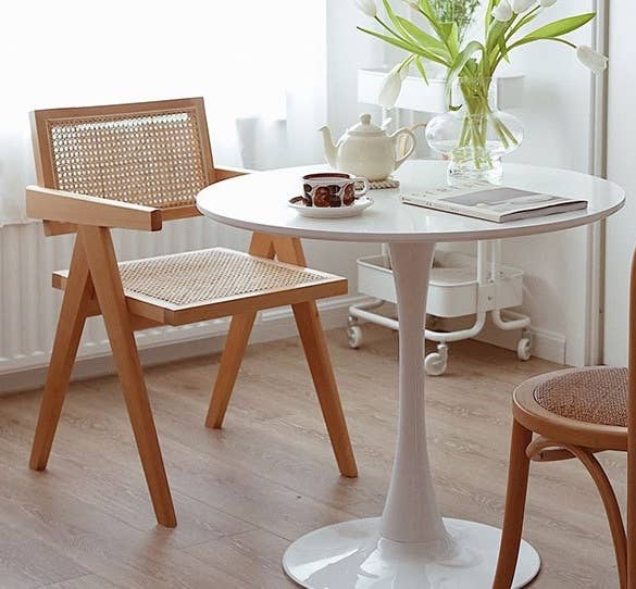 Element Accessories EU - Wholesale Chair - chair Pierre Jeanneret massive wood + rattan, high quality7