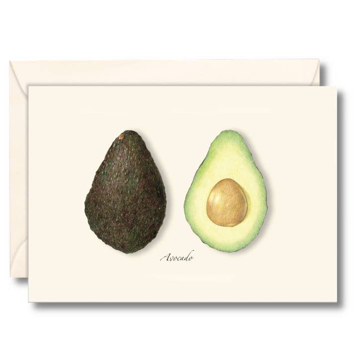Avacado Illustrated Notecard Set, 8 Cards for wholesale by Earth Sky + Water