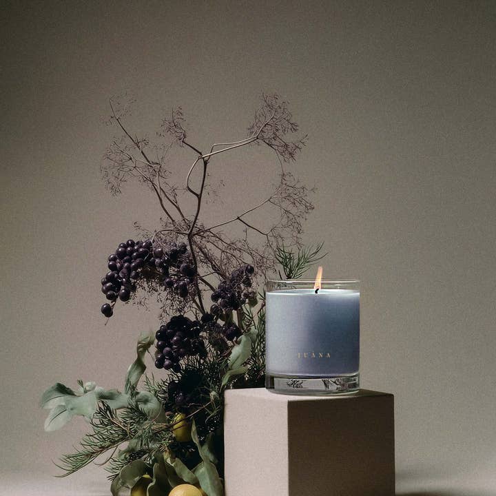 Juana - Wholesale Jar/Filled Candle - Cassis + Rosemary for Focus