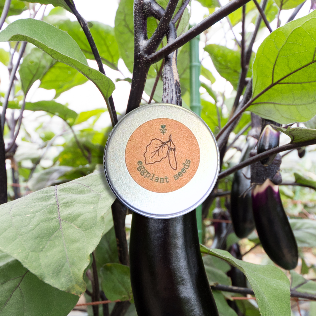 Plantflix - Wholesale Plant Seeds - Organic Vegetable Seed Gift Tins2