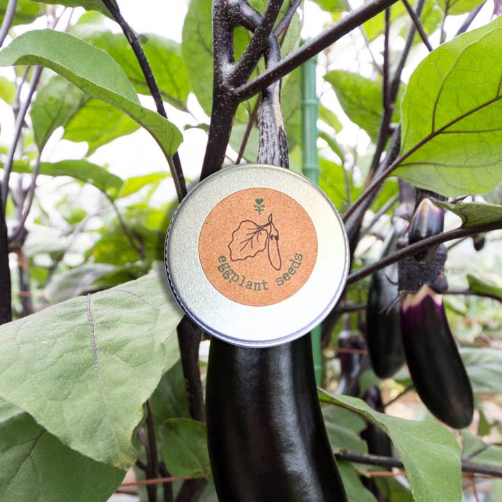 Plantflix - Wholesale Plant Seeds - Organic Vegetable Seed Gift Tins2