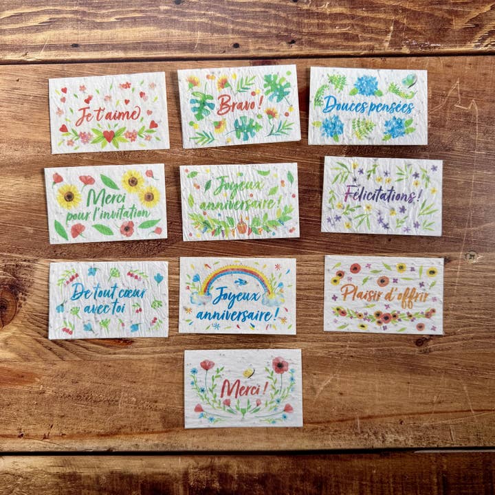 starter pack: 20 mini plantable cards for florists for wholesale by Les cartes de Lulu