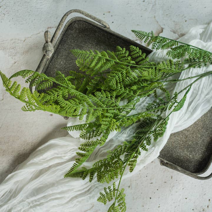 TIGE DE FOUGÈRE LACEY DE 38" pour la vente par Ragon House