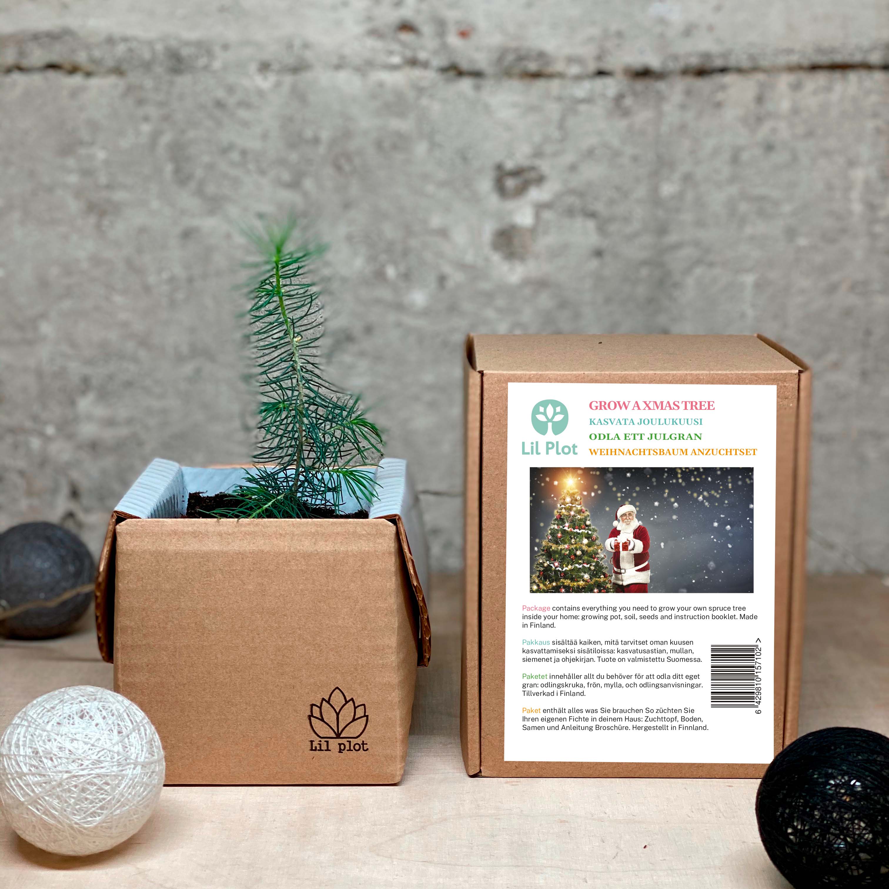 Lil Plot - Wholesale Christmas Decoration - Christmas Tree Growing Kit2