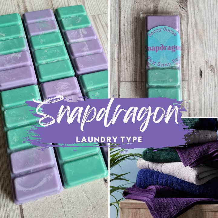 Lejongap för wholesale av Berry Cocoa Handmade Wax Melts