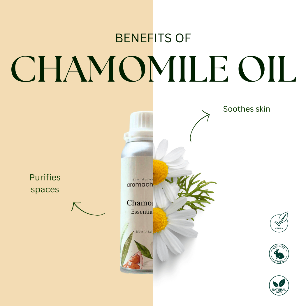 Aromachology - Wholesale Essential oil - Roman Chamomile Essential Oil3