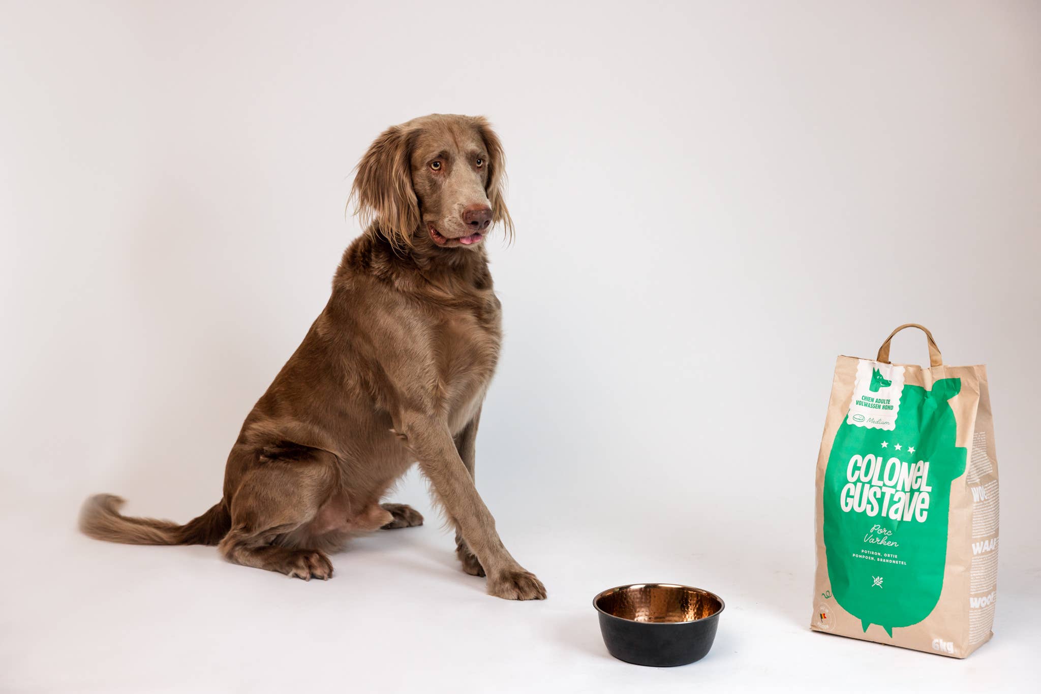 Colonel Gustave – wholesale Pet food – Dog – Adult dog kibble - fresh pork, pumpkin and nettle2