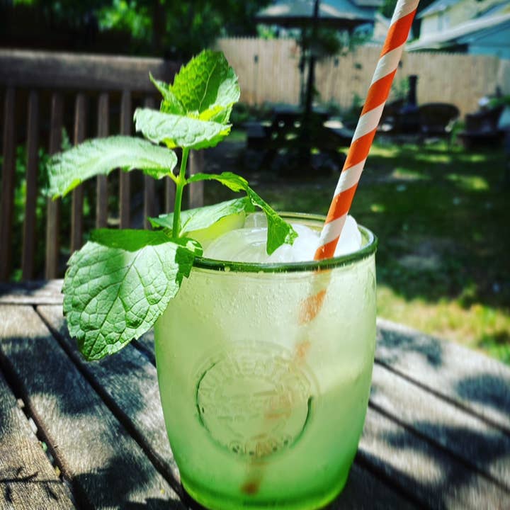 Roc Paper Straws – Engroshandel Sugerør – Røde og hvide stribede sugerør2