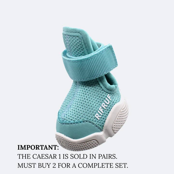 RIFRUF - Vente Bottines – chien - César 129