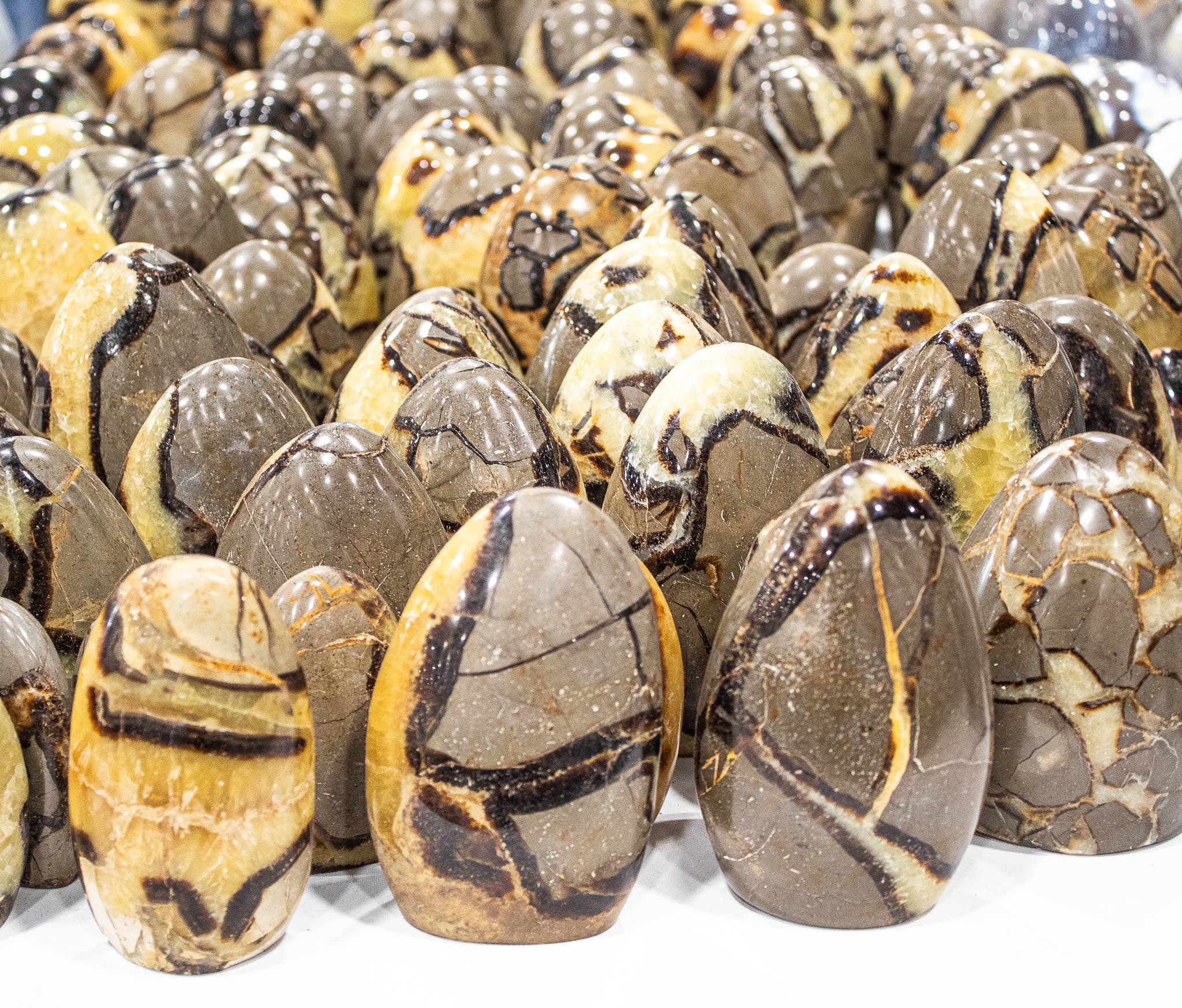 Quasar Gems USA - Vente Pierre et cristal de spiritualité - Formulaires libres septaires0