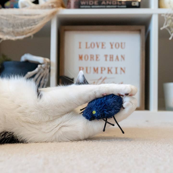 P.L.A.Y. Pet Lifestyle and You – wholesale Pet toy set – Cat – Feline Frenzy Creepy Critters Toy Set4