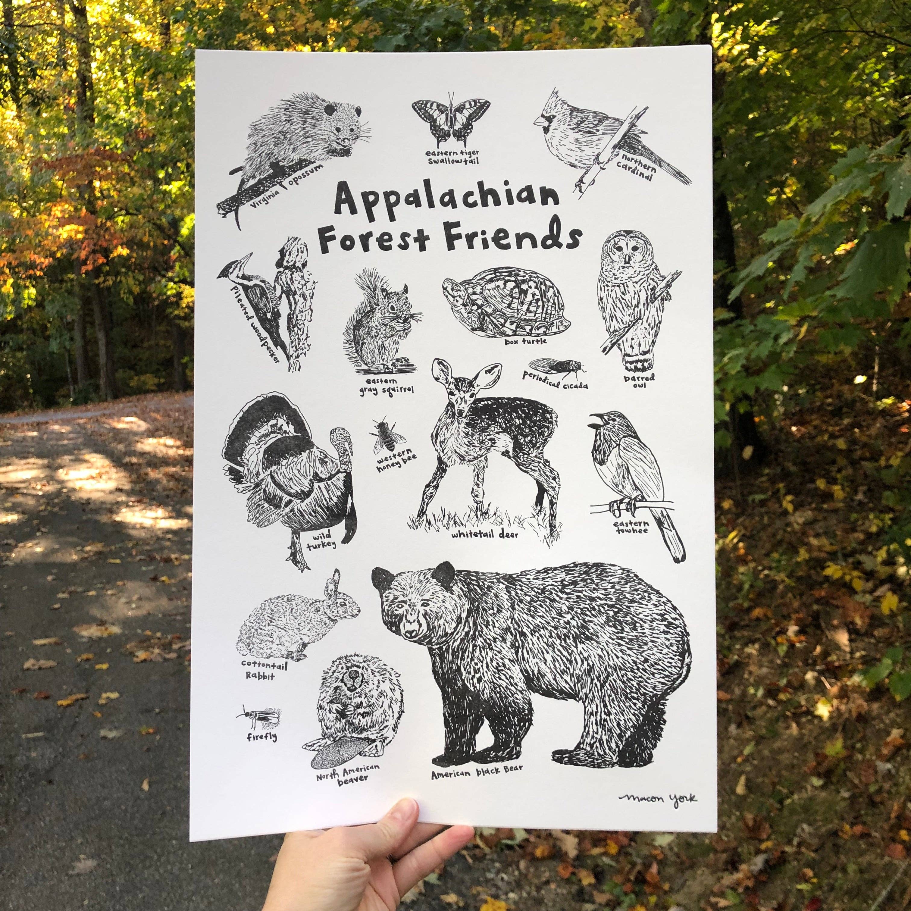 Macon York Press - Wholesale Art Print - Art Print, 12x18: Appalachian Forest Friends1
