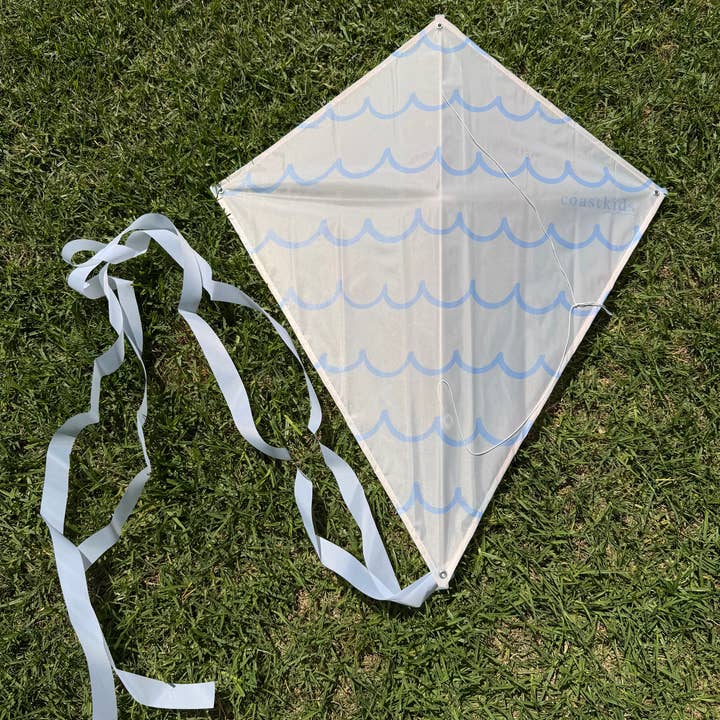 2026 new release kites for wholesale by Coast Kids