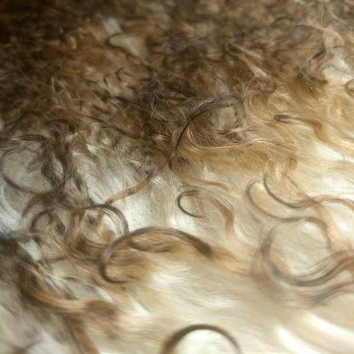 Chesterfield Leather – wholesale Area rug – Coyote Tibetan Lamb Throw/Rug1