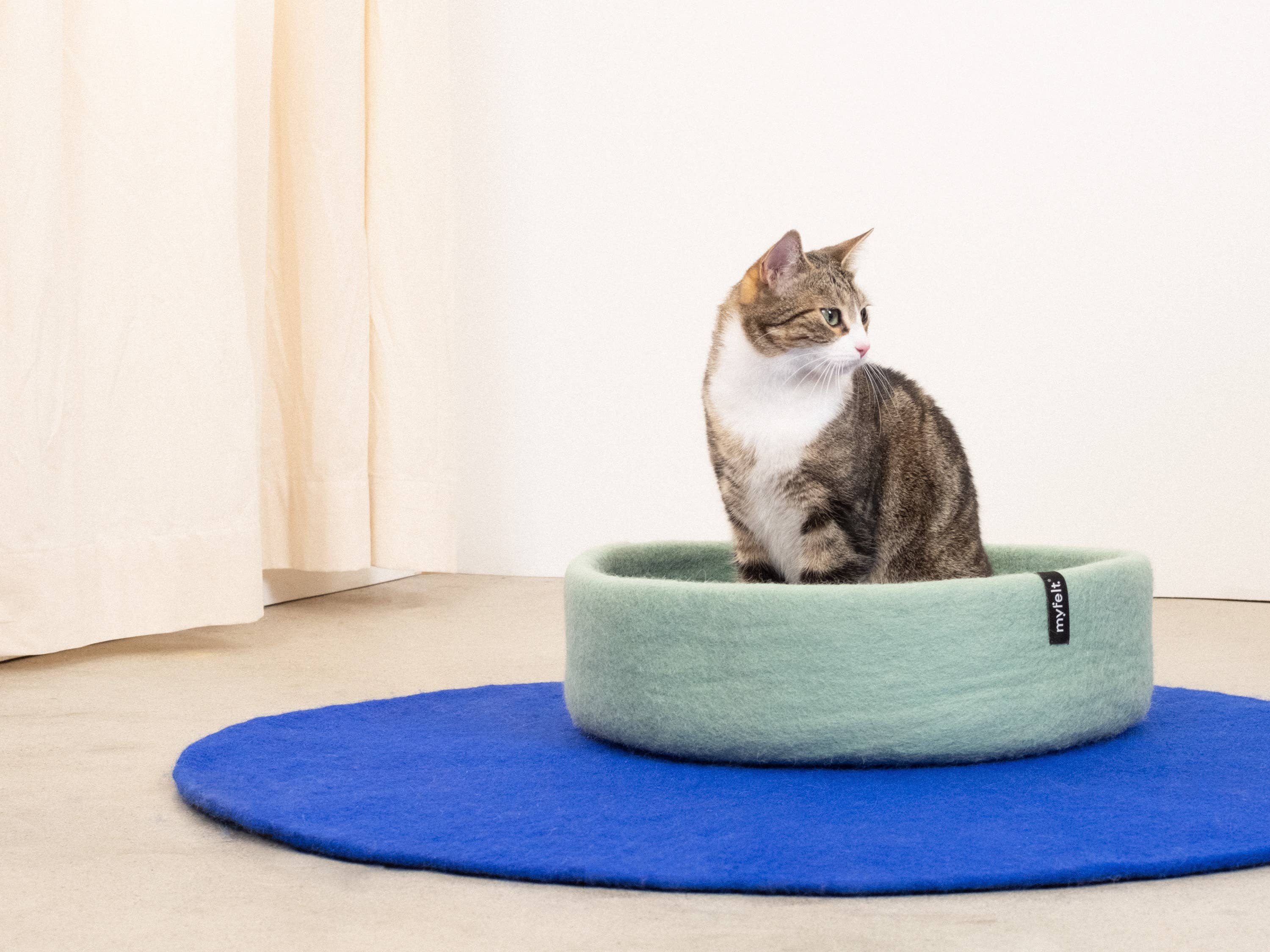 myfelt - Wholesale Pet Bed - Cat/Dog - Fine cat basket - Inlay brown1