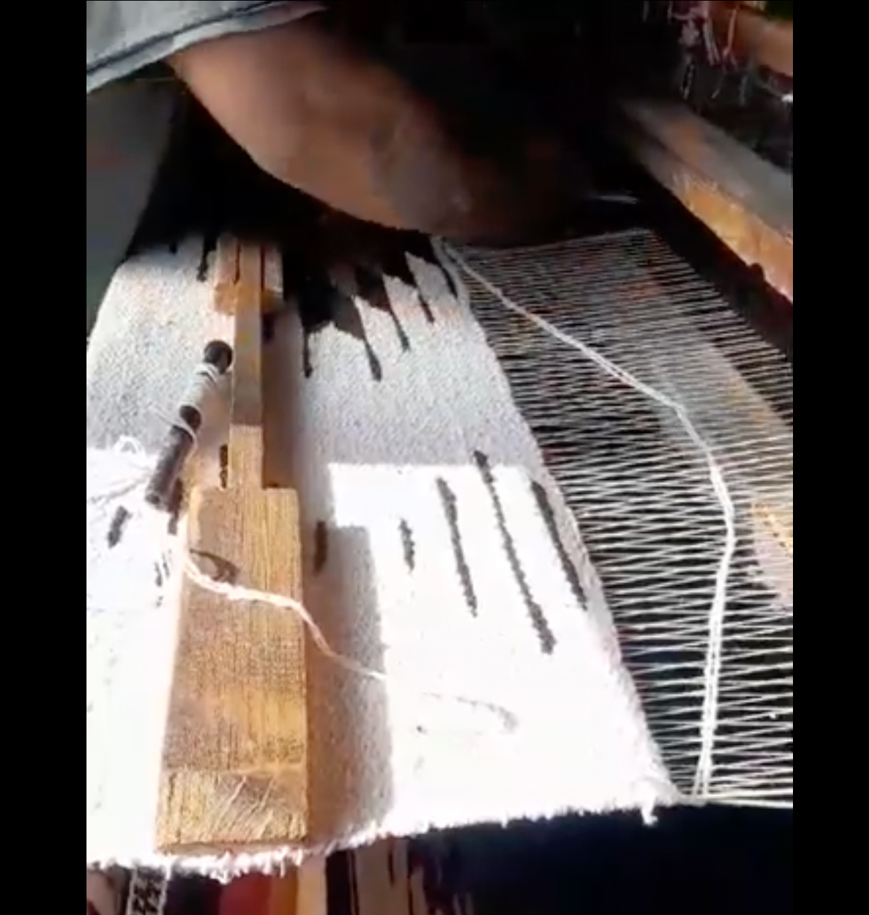 West Path - Wholesale Throw blanket - Southwest Mexican Blanket - Desert Cactus Blanket Tan White8