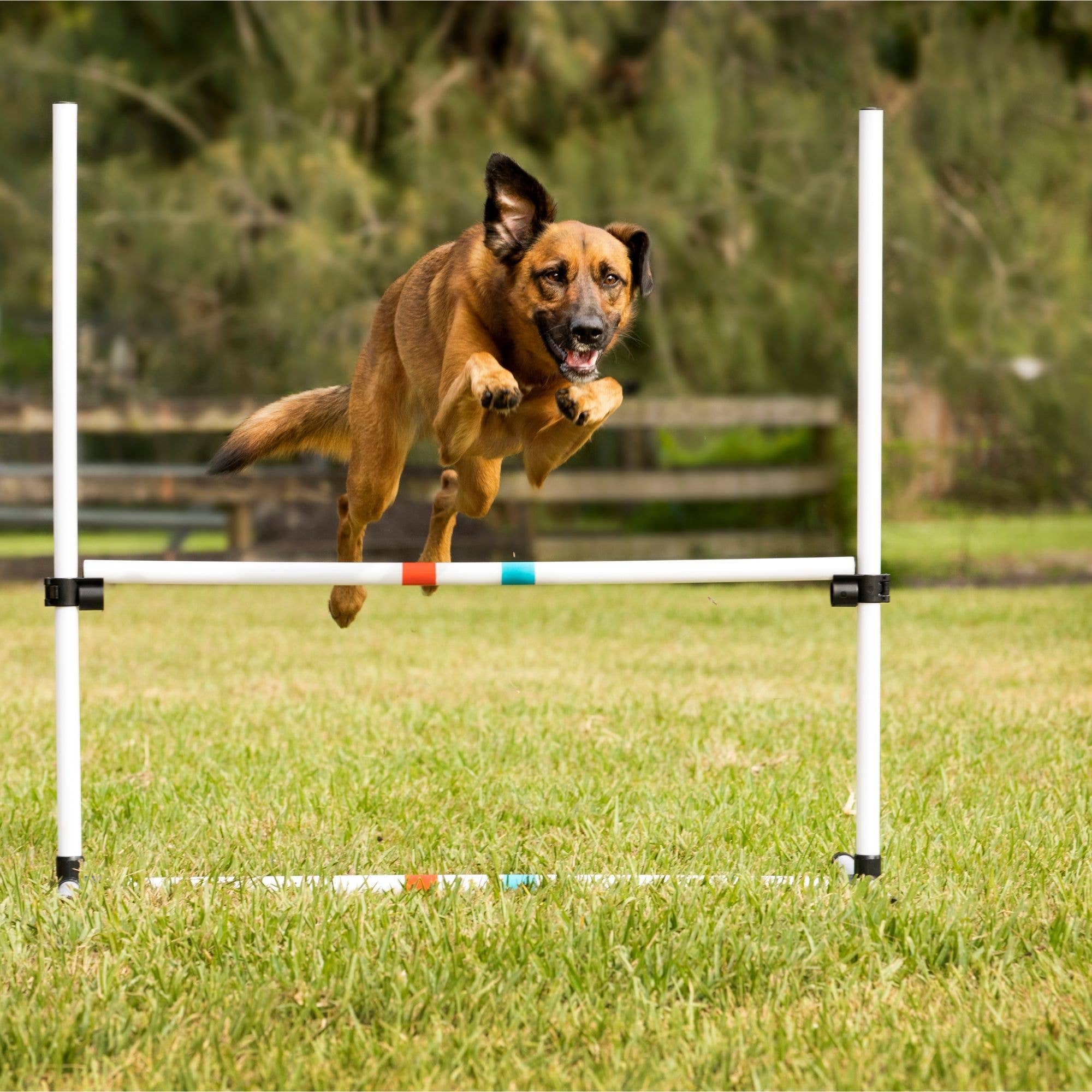 Midlee Designs - Wholesale Pet Toy - Dog - Midlee Dog Agility Beginner Sets- Hoop, Poles, & Bar Jump9