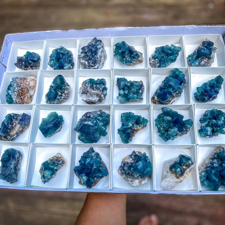 Mandala Gems - Venta al por mayor Piedras/cristales espirituales - Cúmulos de fluorita Hidden Forest Pocket, mina Diana Maria, Da