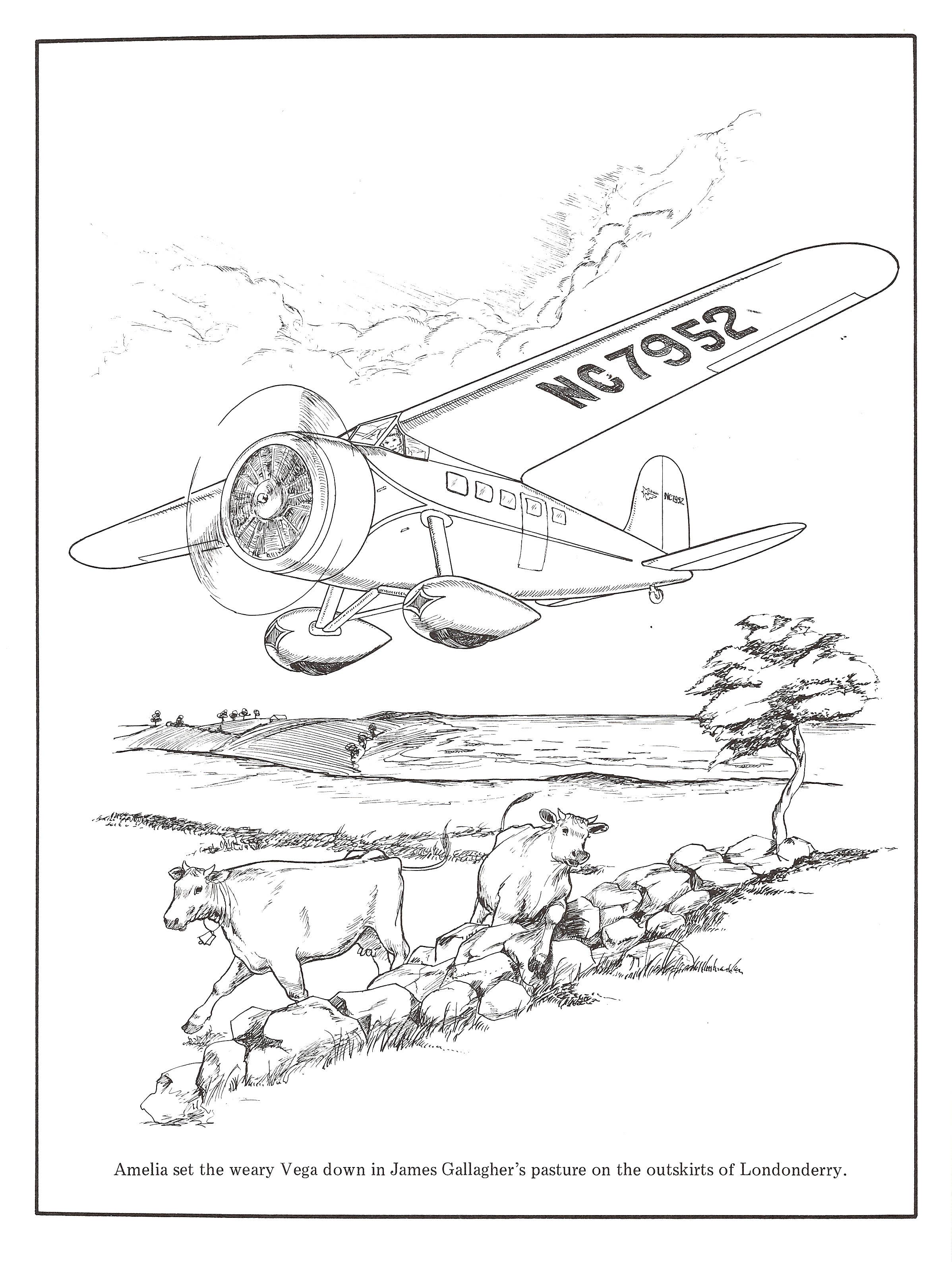 Bellerophon Books - Wholesale Coloring & Activity Book - Adult - Amelia Earhart2