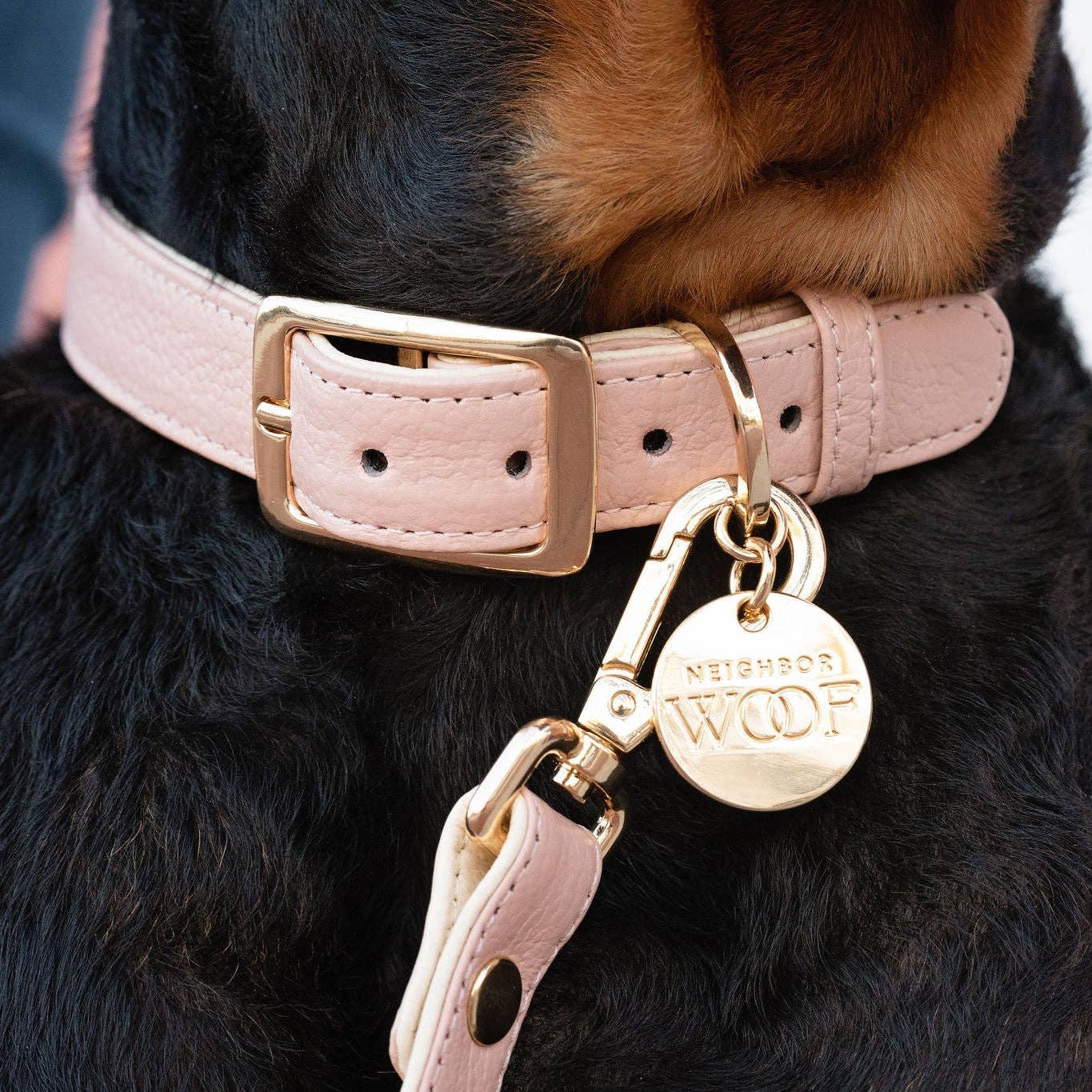 Neighborwoof - Wholesale Pet Collar - Dog - Blush Dog Collar1