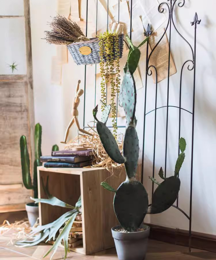 Rustic Reach - Wholesale Artificial Plant - Artificial Cactus in Pot Various Styles4