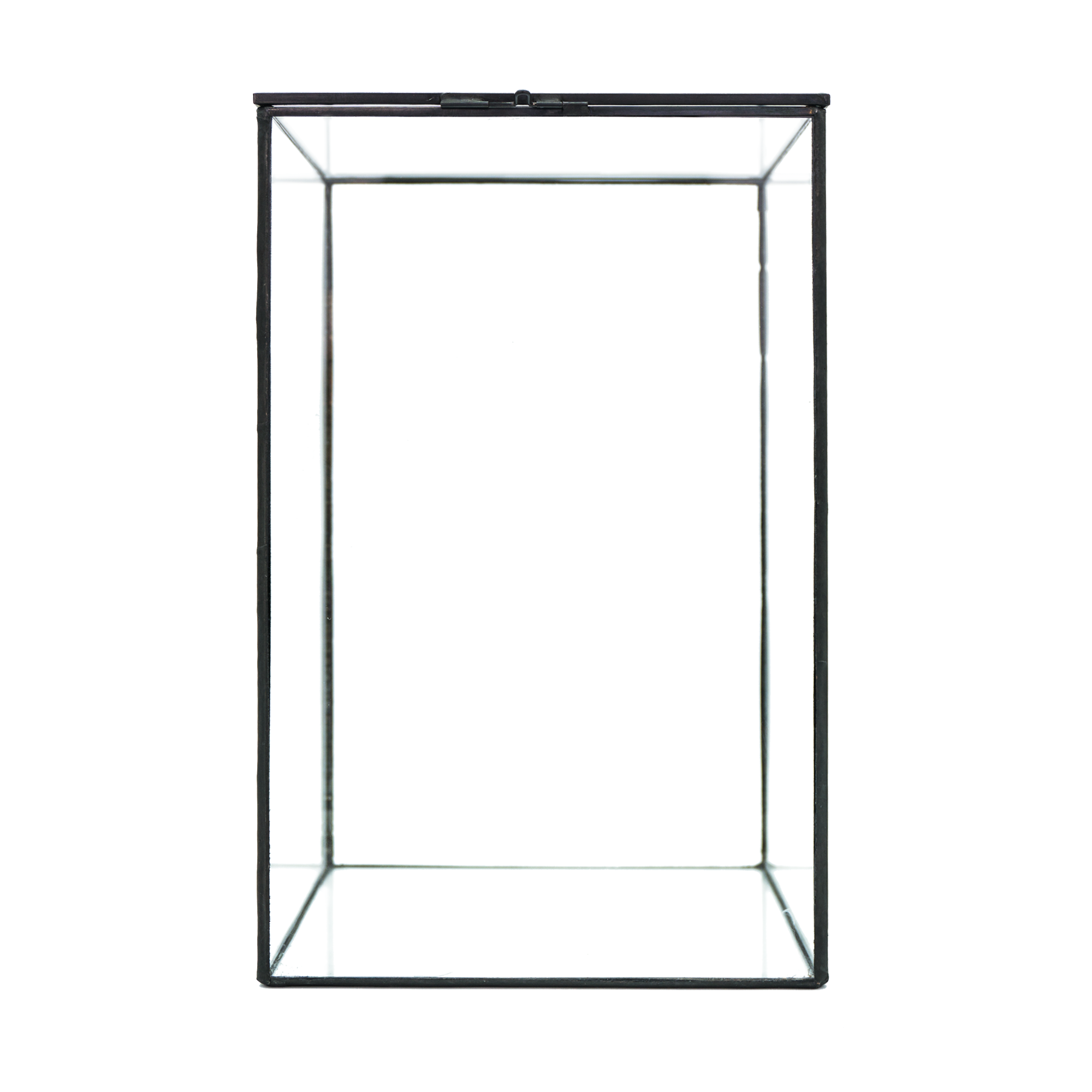 HIRO AQUATICS - Wholesale Terrarium - Indoor Plant/Little Forest Glass Vessel Container for Plants6