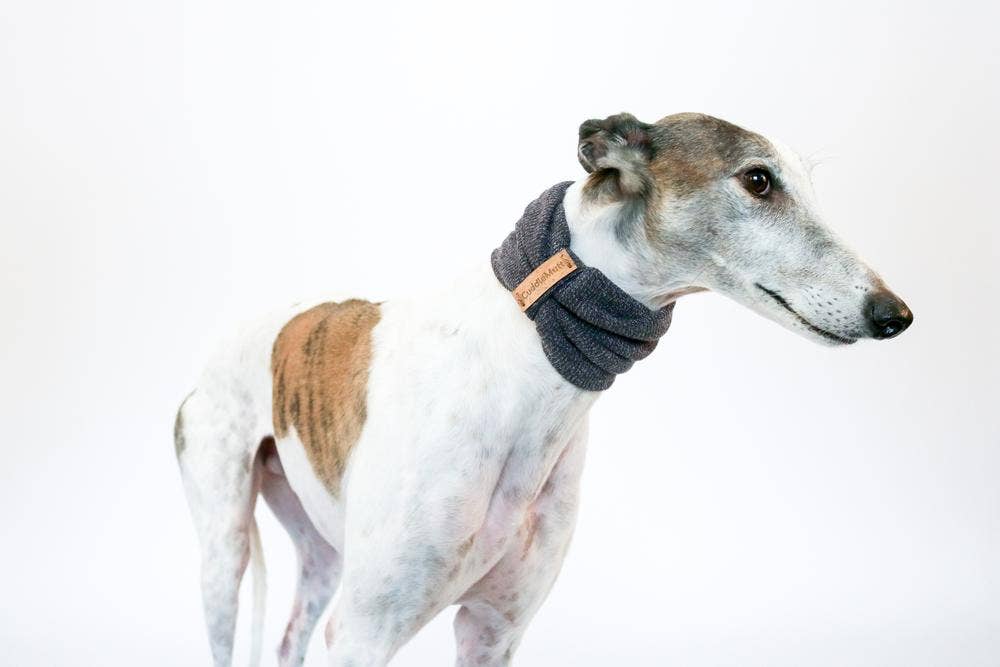 REMOVED BRAND - Wholesale Pet Scarf - Cat/Dog - Grey Knit Dog Scarf2