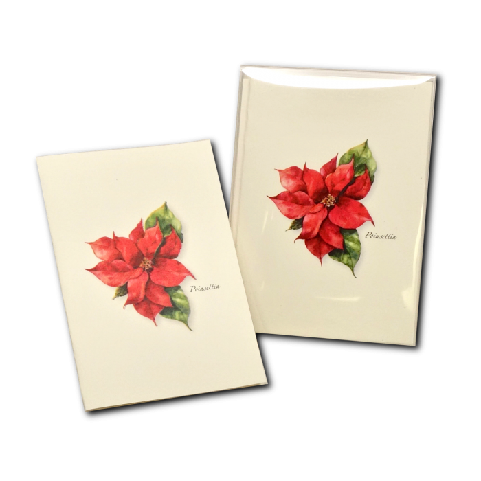 Earth Sky + Water - Wholesale Everyday Greeting Card - Poinsettia2