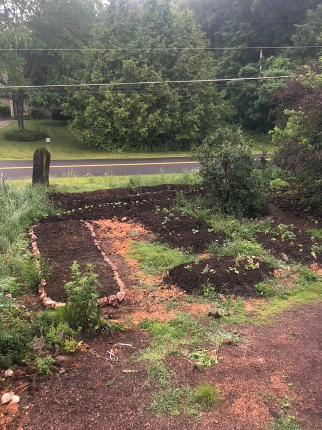 🌾 2026 Mycoterra Farm Grandissez avec nous CSA – Adhésion au partage de la ferme pour la vente par Mycoterra Farm