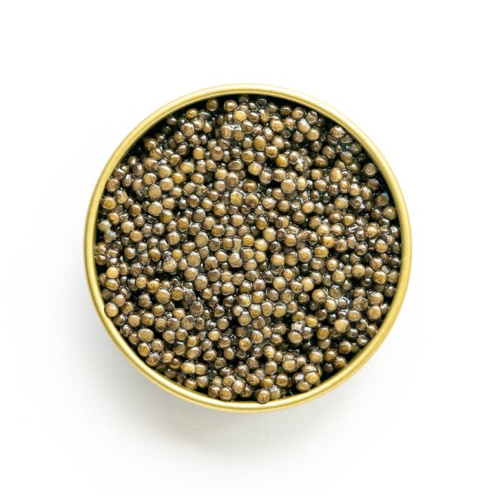 The Caviar Co. - Wholesale Fish/Seafood - Siberian Sturgeon Caviar