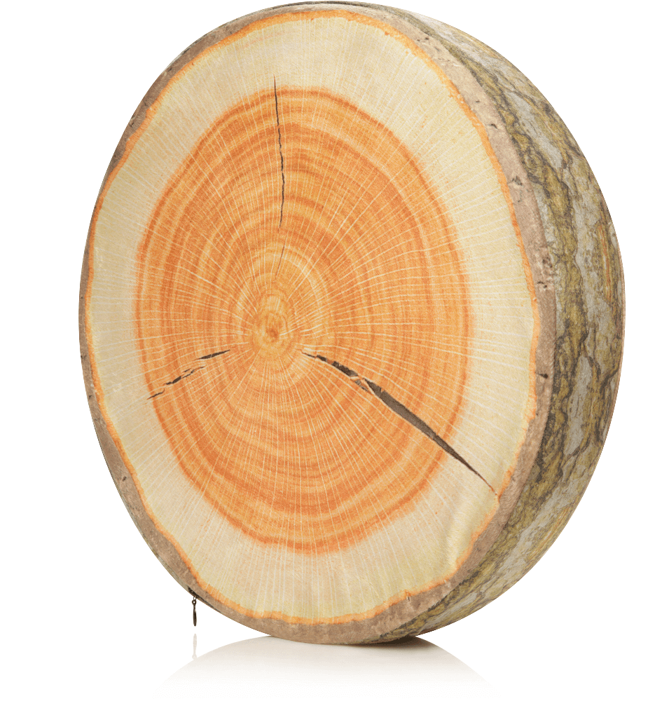 Husband Pillow - Vendita all'ingrosso Cuscini per letto - 360 - FETTA-REGISTRO-MAPL15