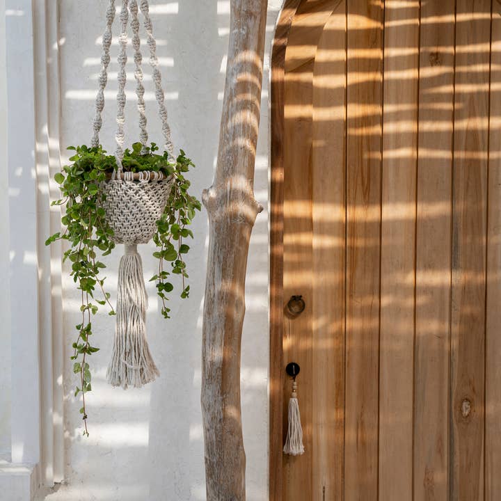 Bazar Bizar Living – Großhandel Pflanzenampel – Der gedrehte Makramee-Pflanzenhalter - Naturweiß - S