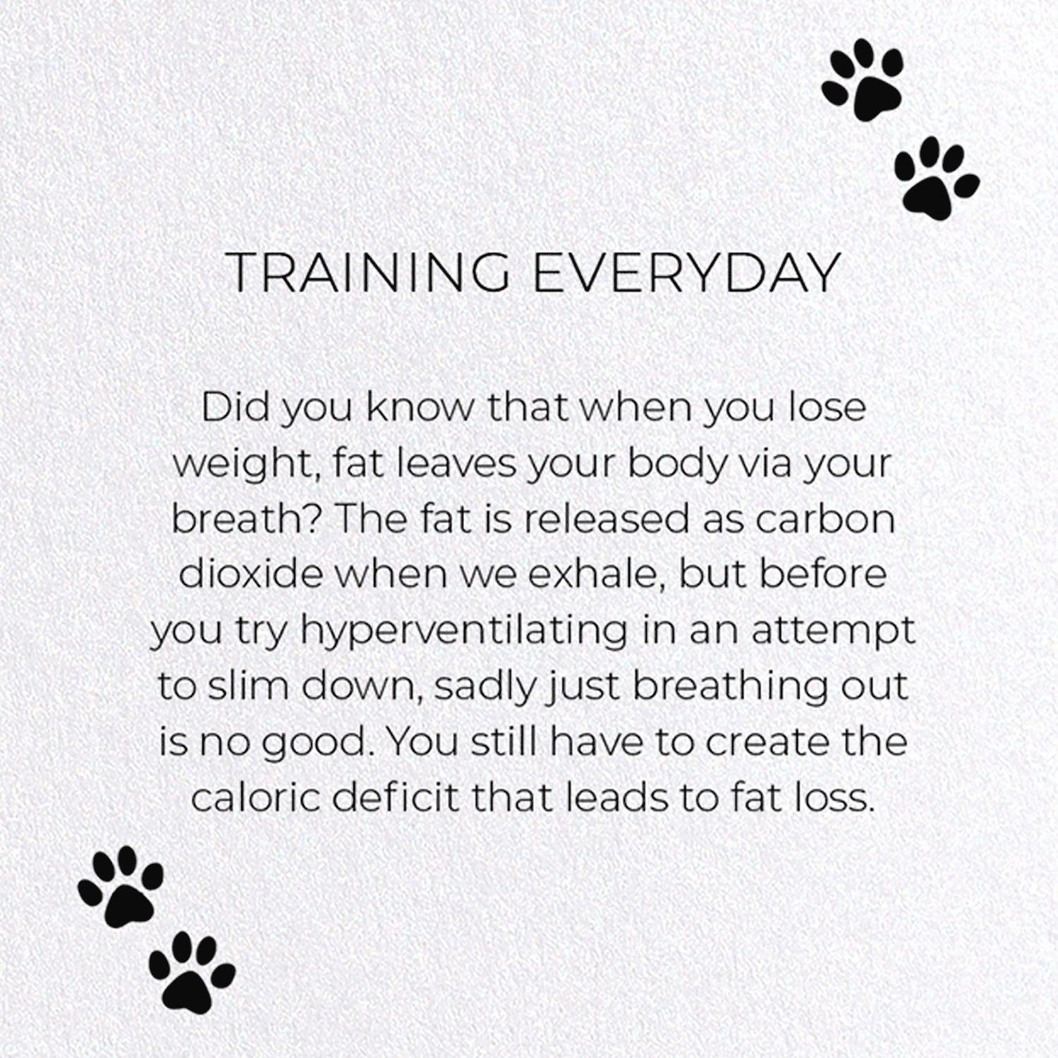 Ezen Trade - Wholesale Everyday Greeting Card - TRAINING EVERYDAY: Greeting Card3