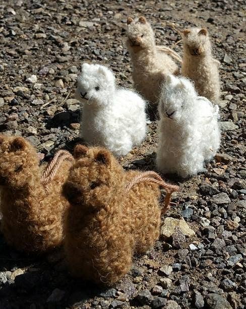 Choice Alpaca Products - Wholesale Ornament - Alpacadorable Hand Made Baby Alpaca Ornaments13