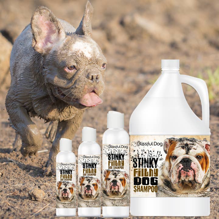 The Blissful Dog – Großhandel Haustiershampoo – Hund – Stinky Filthy Hundeshampoo für schmutzige Hunde Gallone