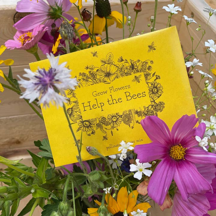 Bentley Seed Co. - Wholesale Plant Seeds - Grow Flowers Help the Bees - Pollinator Wildflower Seed Packets5