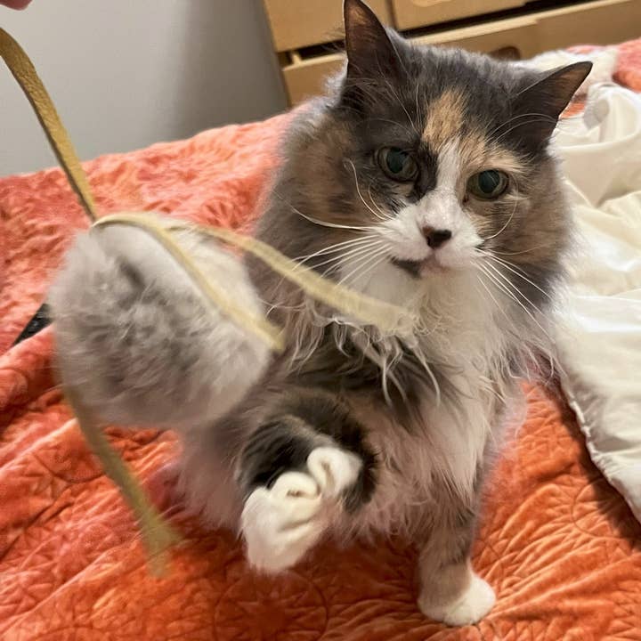 Whiskers 'n Paws Unique Pet Gifts, LLC - Wholesale Pet Toy - Cat - Fur-Fuffle Cat Toy (FF-086)4