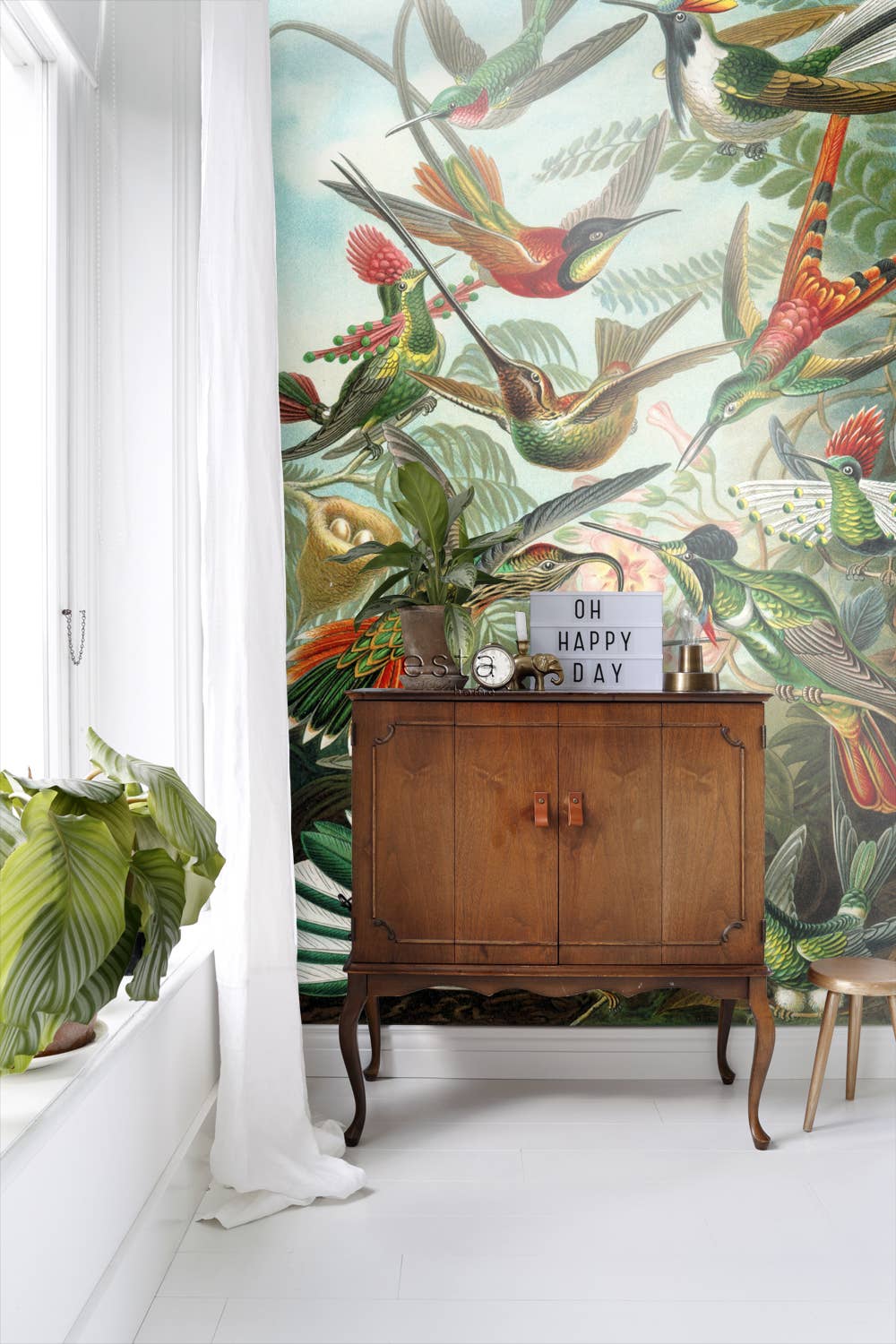 Tropical Jungle Green Wall Mural Birds for wholesale on Faire2