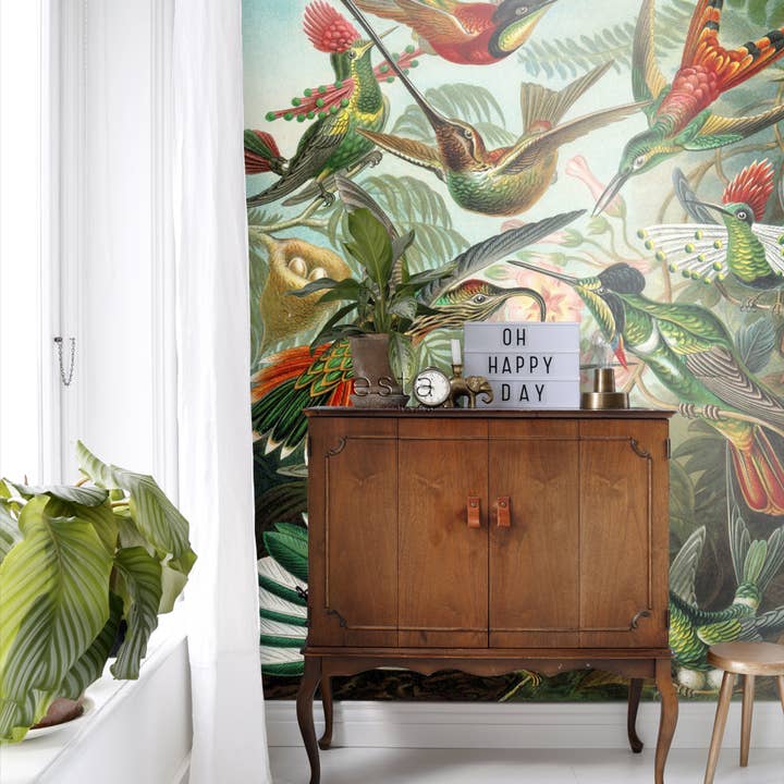 Tropical Jungle Green Wall Mural Birds for wholesale on Faire2