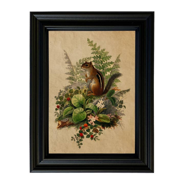 Madison Bay Co. - Historical Home Decor Reproductions - Wholesale Art Print - Woodland Chipmunk Cottagecore Framed Reproduction Print