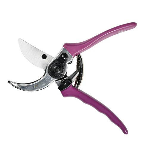 Burgon and Ball – wholesale Garden tool – NEW RHS Gift Secateurs Asteraceae6