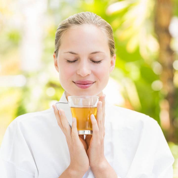 Elmwood Inn Fine Teas - Wholesale Health/Detox Tea - Tummy Tamer Prebiotic Herbal Tea