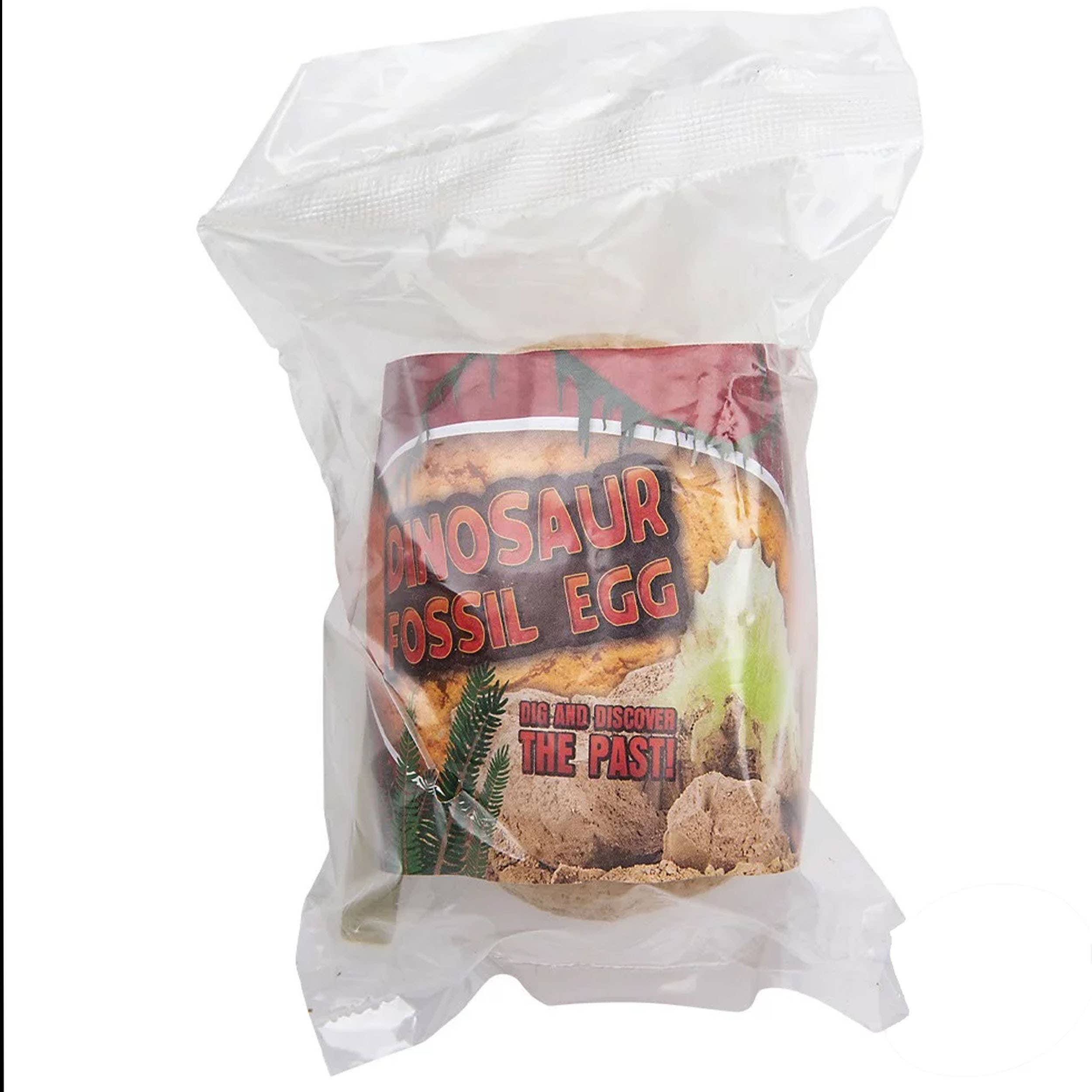 Pagdee Kids Juniors - Vendita all'ingrosso Giocattolo classico - Bambini - Decorazioni Natalizie Uovo di Dinosauro Fossile Giocattoli per Bambini3