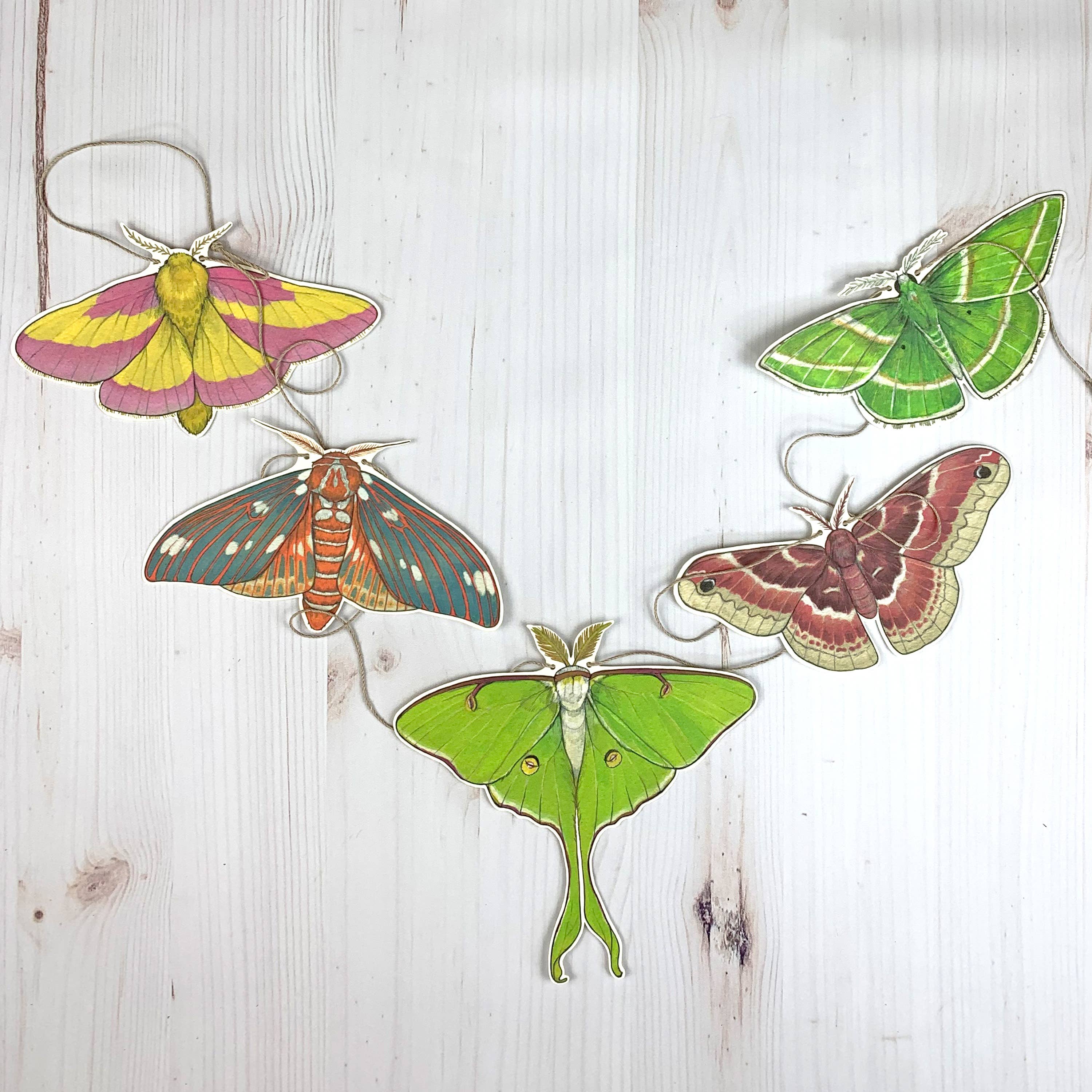Sarah Draws Things - Wholesale Bunting/Garland - Colorful Moth Illustrated Garland1