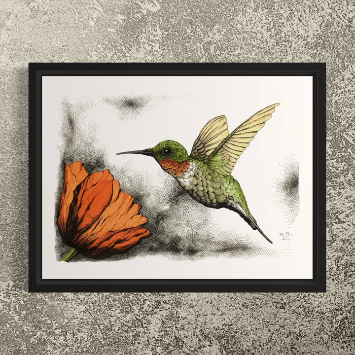 Tony Rubsam Illustrations – wholesale Konsttryck – Rubinhalsad kolibri & vallmopenna och bläckillustration